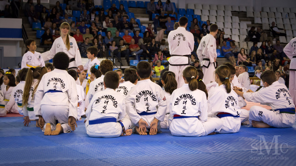 DIA DEL TAEKWONDO ABRIL 2017_3590.JPG
